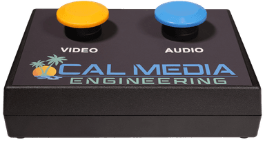 Profanity Delay System Remote